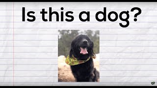 Yes | Core Vocabulary Song gameplay video by clotecy, 3:08 duration