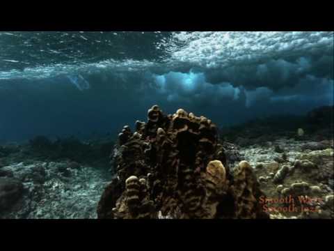 Ken Navarro - Slow Dance ♫♫♫♫♫ Smooth JAZZ