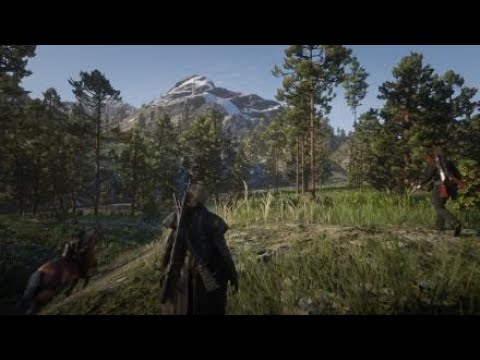 Red Dead 2 2020 0503