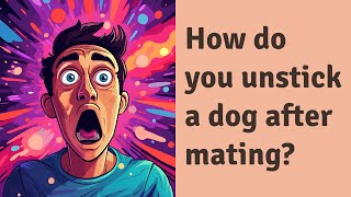 How do you unstick a dog after mating?
