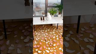 РУГАТЬ ЗА ТАКОЕ? 😭  #cat #funny