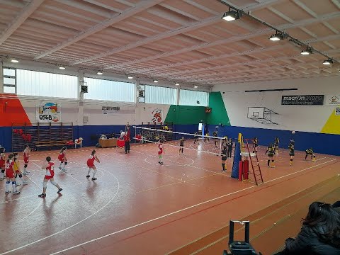 Aurora U14 vs C.Asteria - 13/03/2022