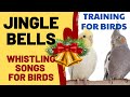 Jingle Bells With Whistling Christmas Song With Whistling Songs For Cockatiels Bird Budgies