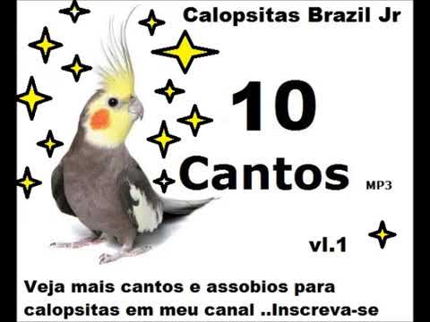 ML 007 Assobio Calopsitas   10 Cantos