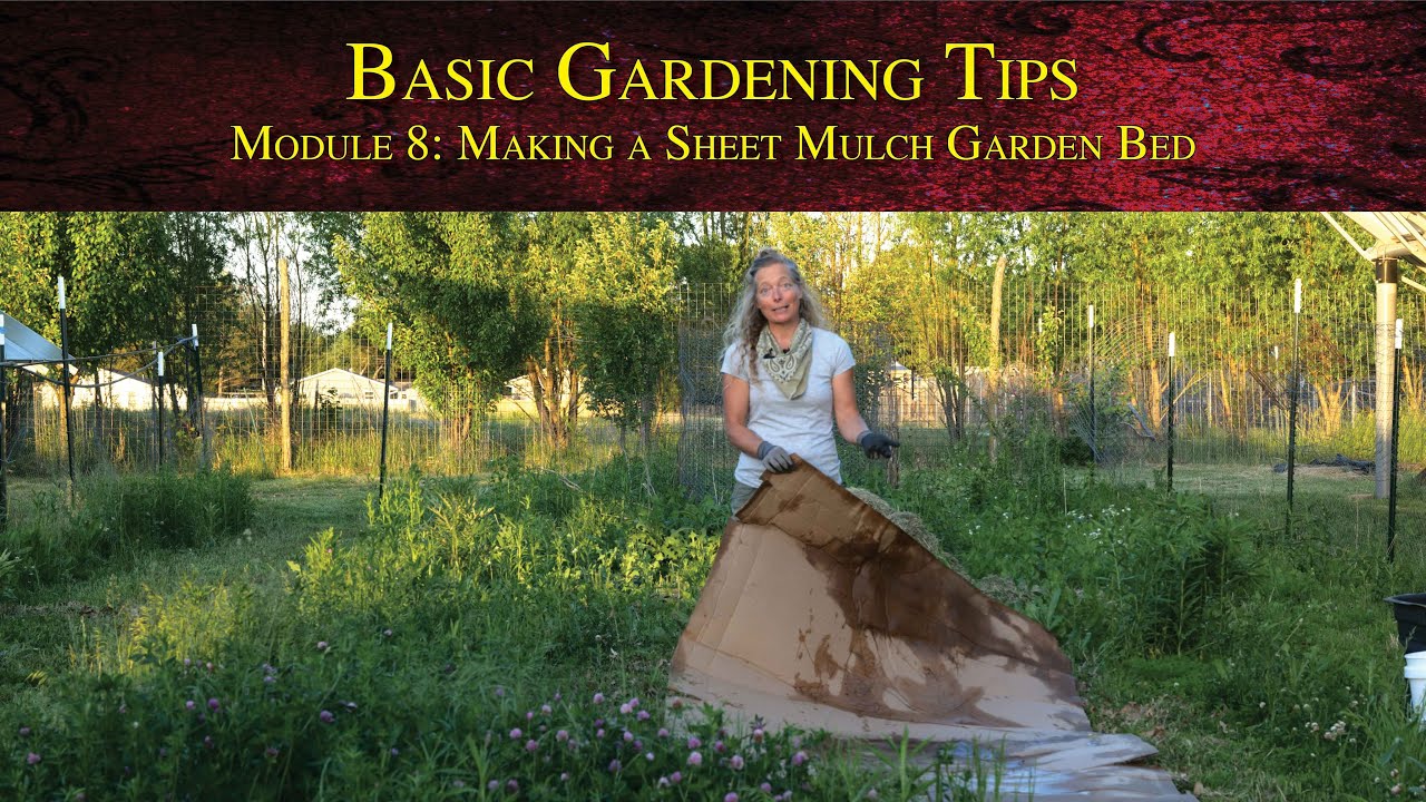 Basic Gardening Tips Module 1 Selecting and preparing a garden bed