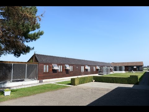 Luc VAN MECHELEN at P-BAY.be: the "Olympic Auction" |2017|