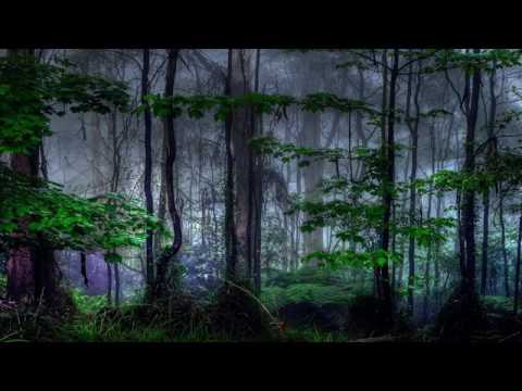 Menumas Vs Umra - Destiny