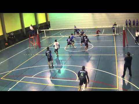 Serie D : Savena Volley - S.d.P. Serramazzoni