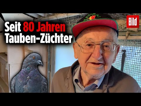 Opa Werner (94) gibt auf YouTube Tipps zur Tauben-Zucht