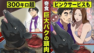 【奇食】300キロ超え...巨大バクの頭肉。ピンクサービスも有り。