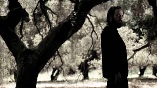 Iron &amp; Wine - Joy