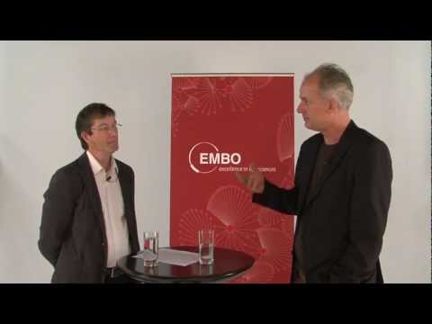 Focus on Nikolaus Rajewsky