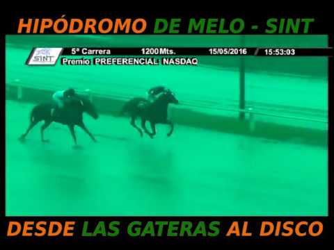 5° Carrera – 1° Talero (SINT-MELO)