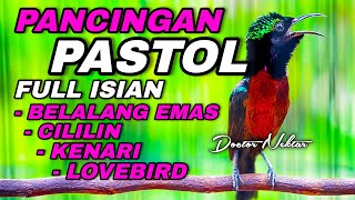 Download lagu PANCINGAN KONIN PASTOL GACOR FULL ISIAN KENARI-LOVEBIRD-BELALANG EMAS-CILILIN COCOK UNTUK KOLIBRI mp3