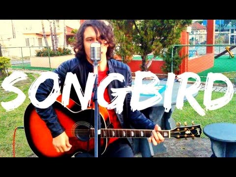 Oasis - Songbird (Acoustic Cover)