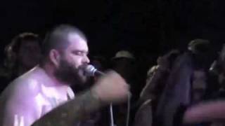 Dillinger Four - A Floater Left With... live at the Fest 7