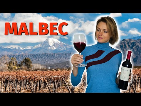 Wine Grapes 101: MALBEC