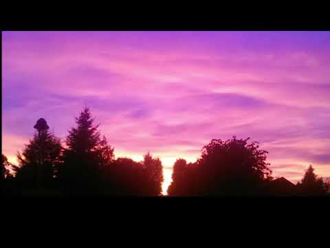 xo EDEN [8-Bit-Version][Pixel-Sunday #3]