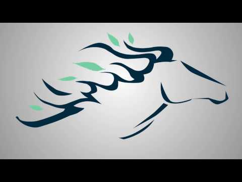 How much is Massachusetts legal cannabis worth?