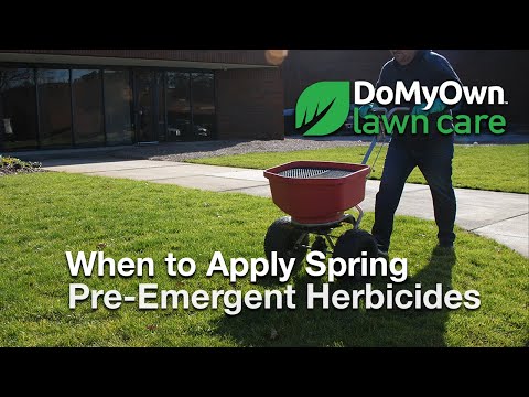  When to Apply Spring Pre Emergent Herbicides - Weed Prevention Tips Video 