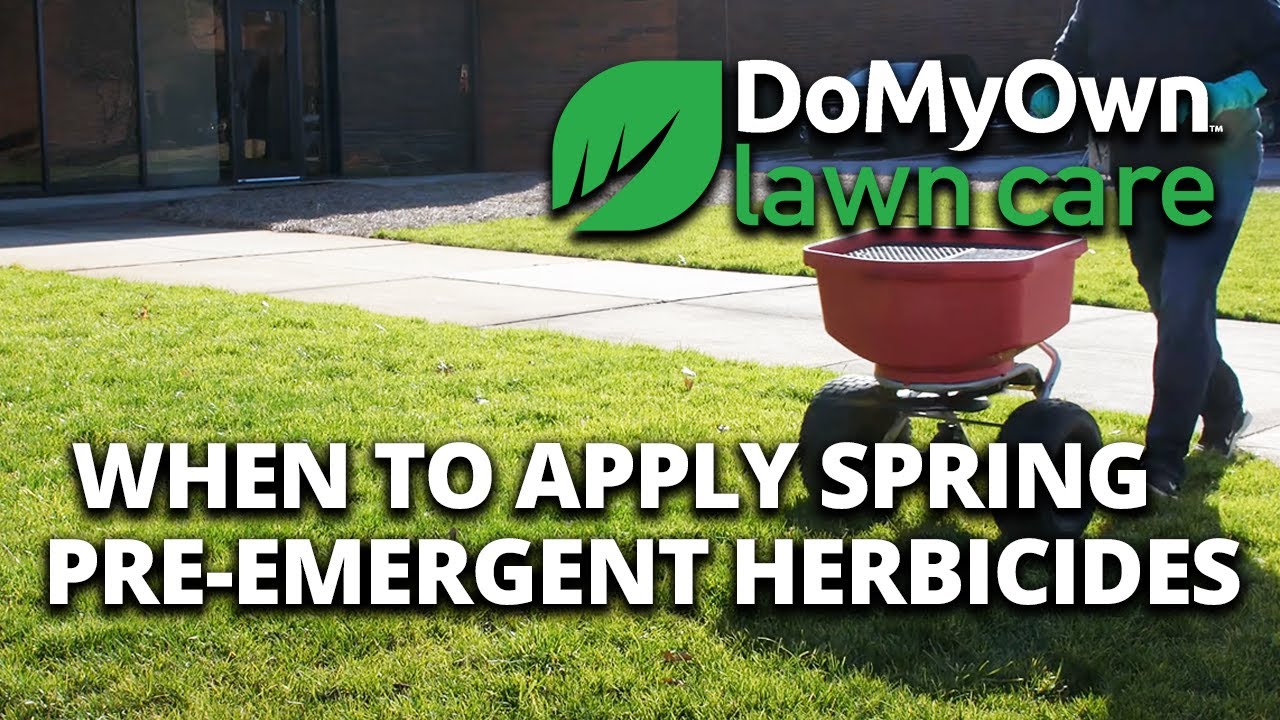When to Apply Spring Pre Emergent Herbicides - Weed Prevention Tips | DoMyOwn.com