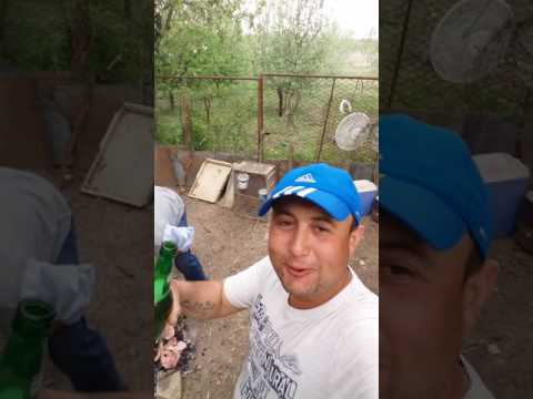 Sasu la licuriciu(1)