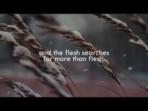 Charles Bukowski, Alone With Everybody