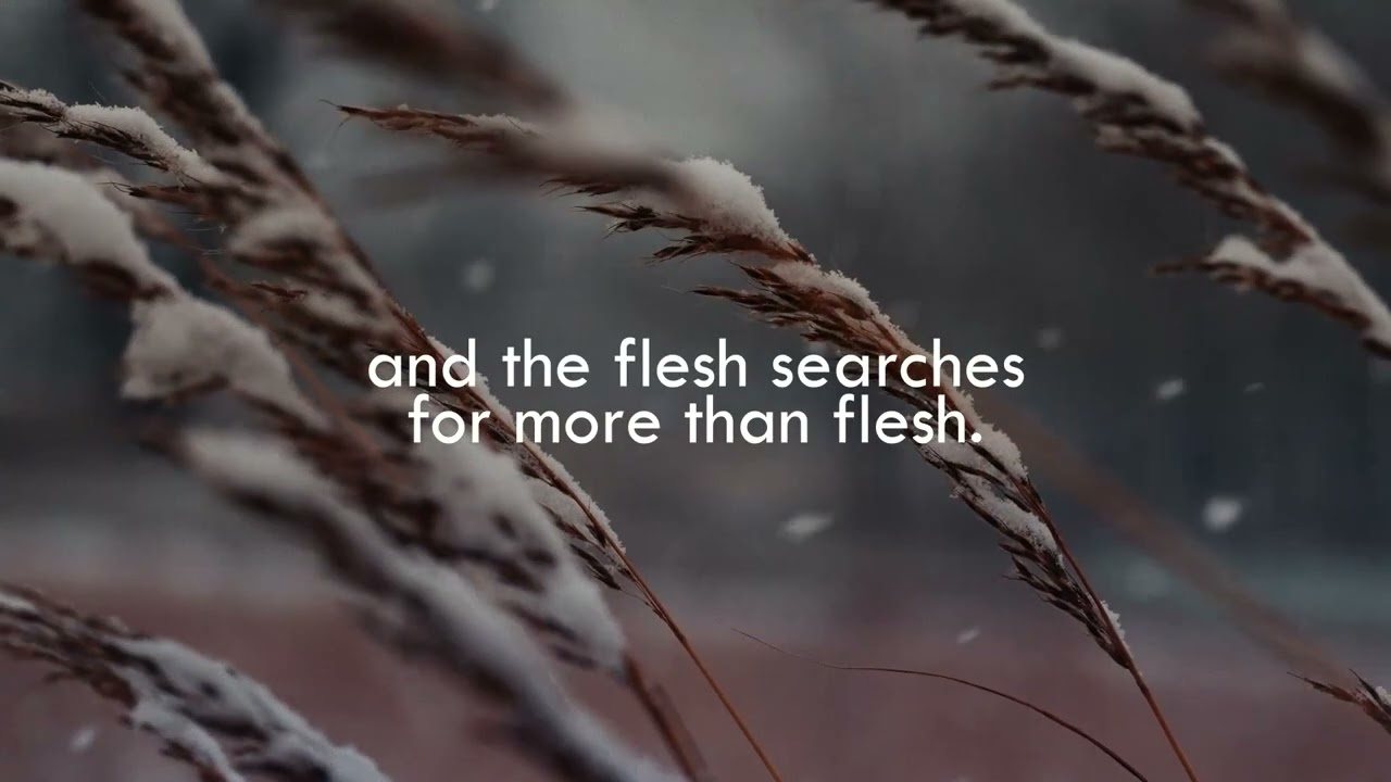 Charles Bukowski, Alone With Everybody