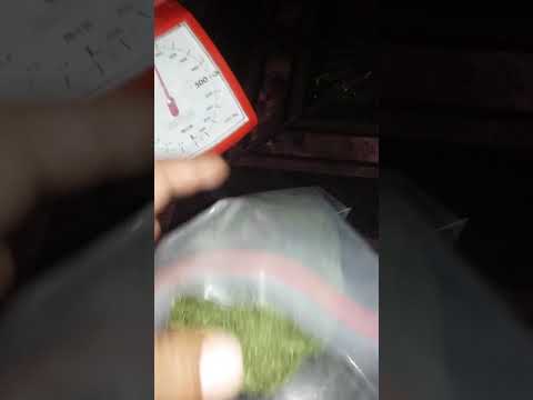 Penis plastik Volgograd Bagaimana meningkatkan anggota Yekaterinburg