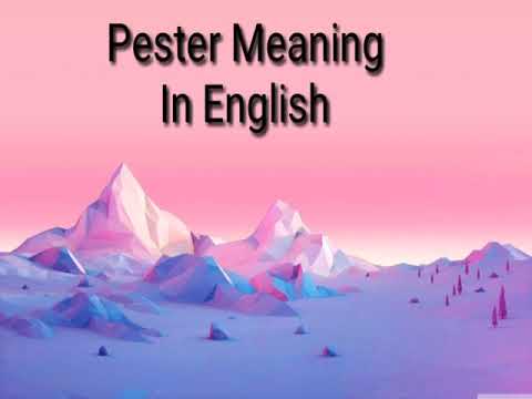 Pester meaning in English with sentence spelling and picture