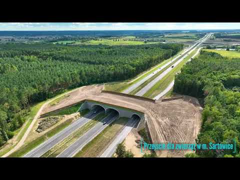 S5 Nowe Marzy - Świecie [wrzesień 2022]