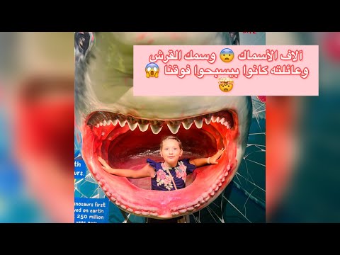 National Aquarium Abu dhabi/ أكبر حوض أسماك في الشرق الأوسط شفنا فيه آلاف الأسماك 😍🐠🐟🐬🐡🦀🐙🐳