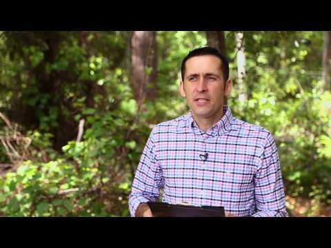 Bogdan Bondarenko's Testimony about a Vitaliy Bondarenko