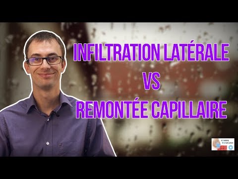 Infiltration latérale et remontée capillaire : deux principes à ne pas confondre