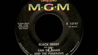 Sam The Sham & The Pharaohs "Black Sheep"
