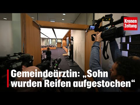 Pilnacek parliamentary inquiry committee: "Son's tires were slashed" | krone.tv NEWS