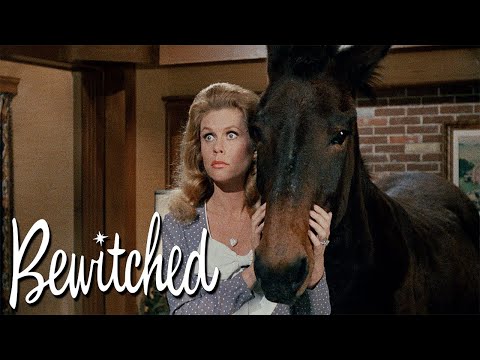 Every Season 5 Intro Scene | Bewitched