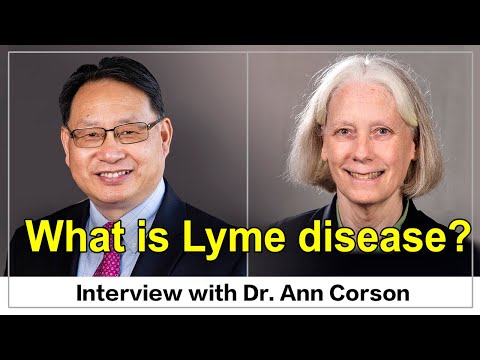 What is Lyme Disease and How to Diagnosis It