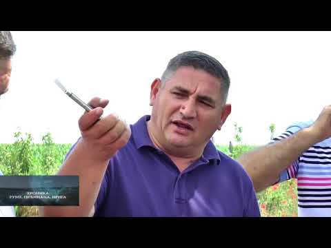 Emisija Hronika U Srcu Srema 6 6 2018