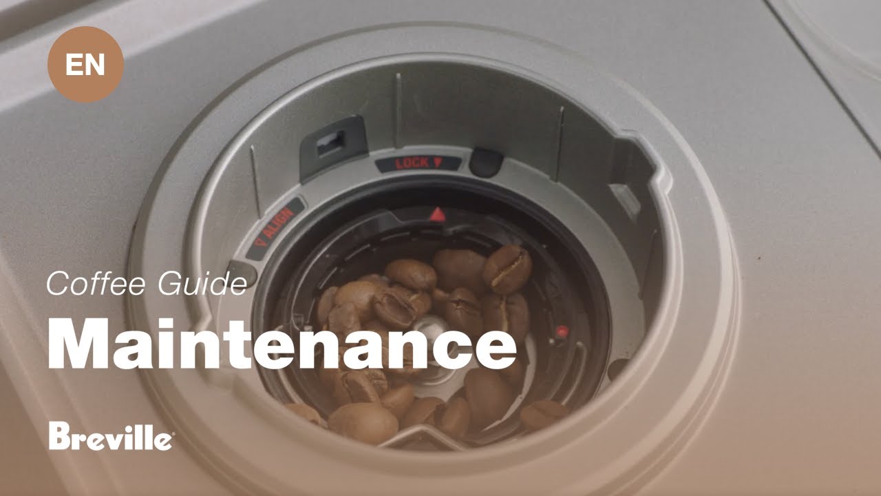 How to clean grinder conical burrs