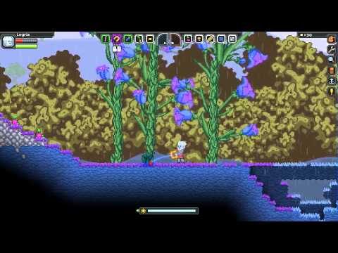 Starbound demo panel at Multiplay Insomnia Gaming Festival / i49