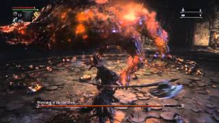 this guy fuck me like a dog! [bloodborne:Watchdog of the Old Lords boss]