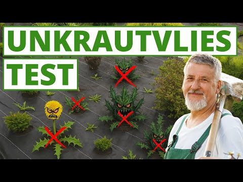 Unkrautvlies Test - Das sind die BESTEN!