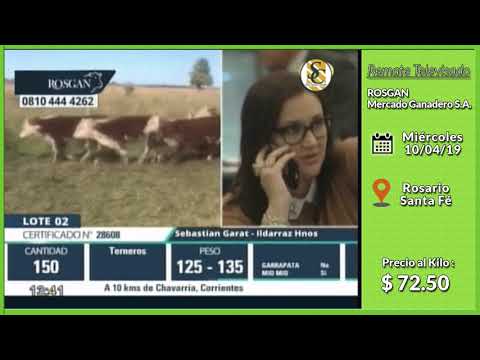 10-04-19 - Venta de Machos - Remate Televisado de ROSGAN - Rosario