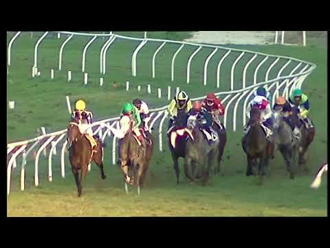 Galoppo 18/01/2021 - 6ª corsa