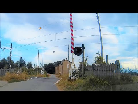 Passaggio a livello campagne di Cassine (AL) #levelcrossing #bahnübergang #踏み切り