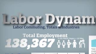 MAEDC Animated Labor Dynamics Report