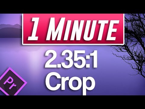 Premiere Pro Podcast Voice Tutorial