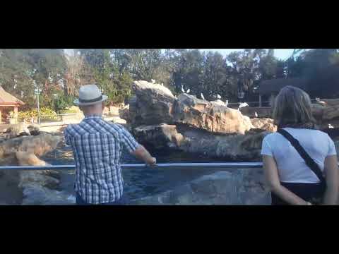 FEEDING TIME! Pacific Point 02 07 2023