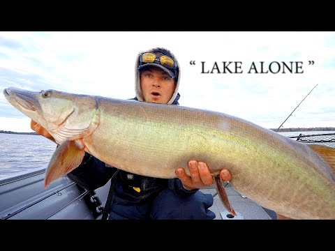 5 Days Chasing 50's - "LAKE ALONE"